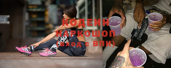 индика Осташков