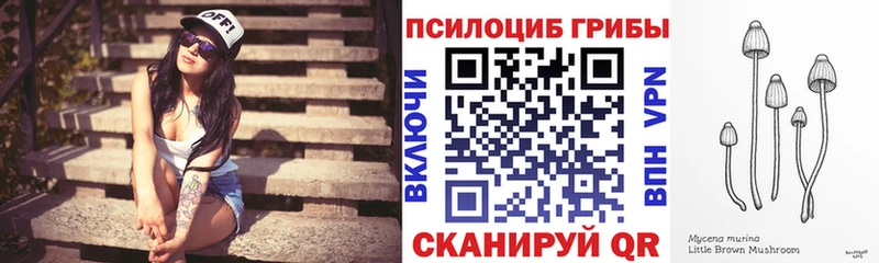 Галлюциногенные грибы ЛСД Красновишерск